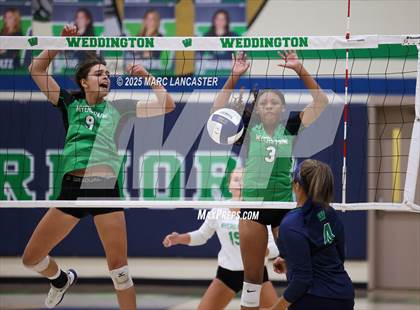 Thumbnail 3 in Myers Park @ Weddington photogallery.