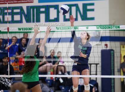 Thumbnail 3 in Myers Park @ Weddington photogallery.