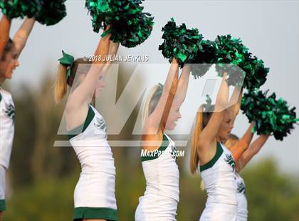Thumbnail 2 in Eagle @ Meridian photogallery.