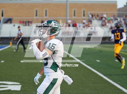Thumbnail 3 in Eagle @ Meridian photogallery.