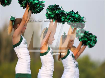 Thumbnail 3 in Eagle @ Meridian photogallery.