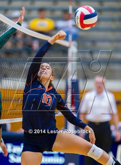 Thumbnail 1 in Holmes @ Brandeis photogallery.