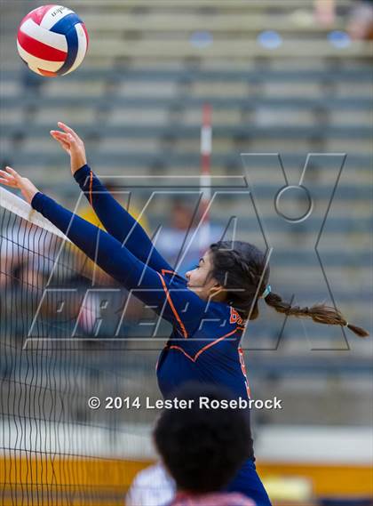 Thumbnail 1 in Holmes @ Brandeis photogallery.