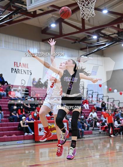 Thumbnail 2 in Tokay @ Lodi photogallery.