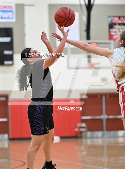 Thumbnail 1 in Tokay @ Lodi photogallery.
