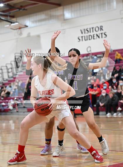 Thumbnail 1 in Tokay @ Lodi photogallery.
