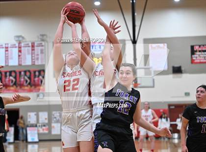 Thumbnail 1 in Tokay @ Lodi photogallery.
