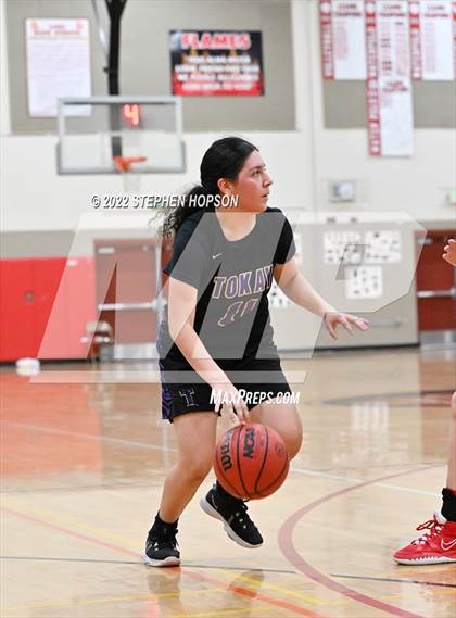 Thumbnail 1 in Tokay @ Lodi photogallery.