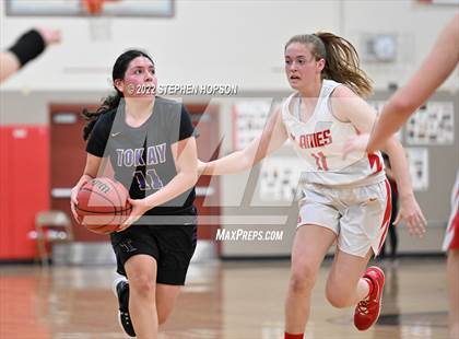 Thumbnail 1 in Tokay @ Lodi photogallery.