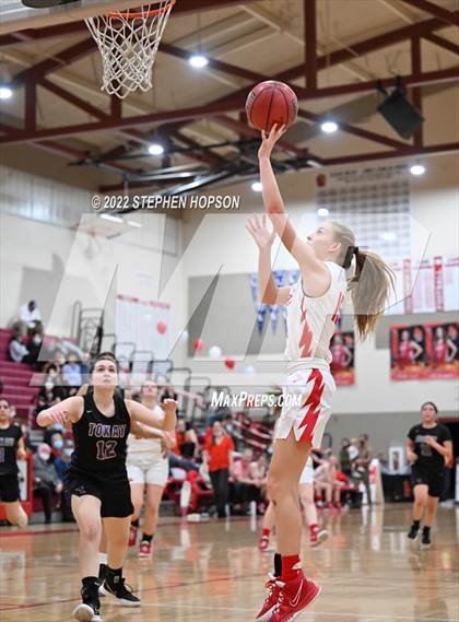 Thumbnail 2 in Tokay @ Lodi photogallery.