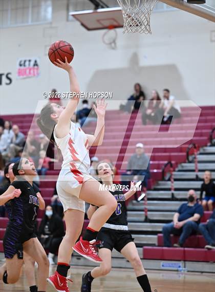 Thumbnail 1 in Tokay @ Lodi photogallery.