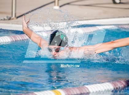 Thumbnail 3 in Chandler @ Basha photogallery.