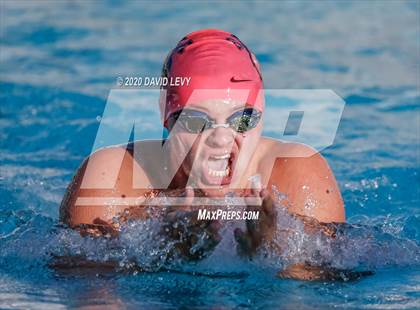 Thumbnail 3 in Chandler @ Basha photogallery.
