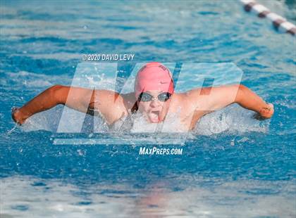 Thumbnail 2 in Chandler @ Basha photogallery.