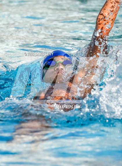 Thumbnail 1 in Chandler @ Basha photogallery.