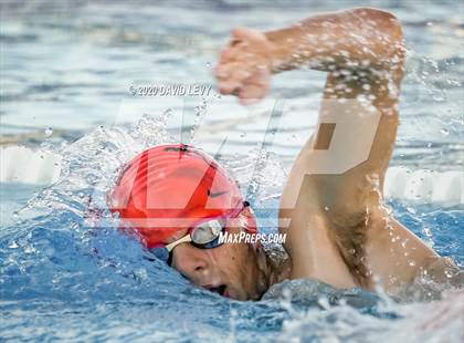 Thumbnail 1 in Chandler @ Basha photogallery.