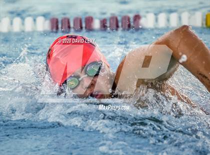 Thumbnail 1 in Chandler @ Basha photogallery.