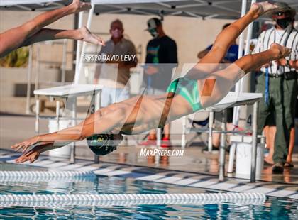 Thumbnail 2 in Chandler @ Basha photogallery.