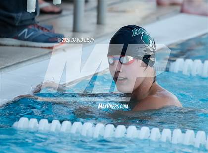 Thumbnail 2 in Chandler @ Basha photogallery.