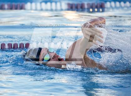 Thumbnail 3 in Chandler @ Basha photogallery.