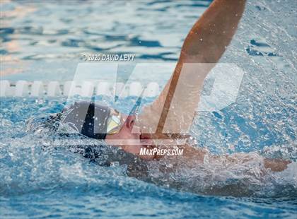 Thumbnail 1 in Chandler @ Basha photogallery.
