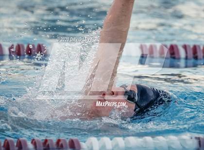 Thumbnail 3 in Chandler @ Basha photogallery.