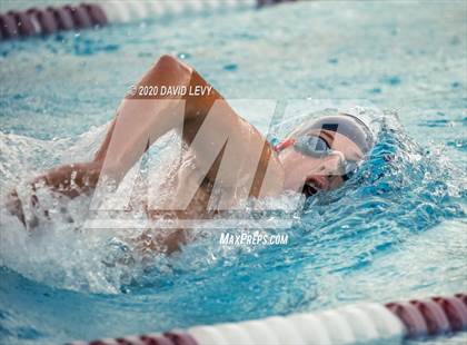 Thumbnail 2 in Chandler @ Basha photogallery.