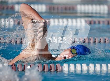 Thumbnail 3 in Chandler @ Basha photogallery.
