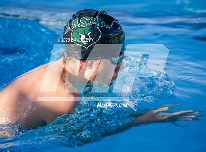 Thumbnail 1 in Chandler @ Basha photogallery.