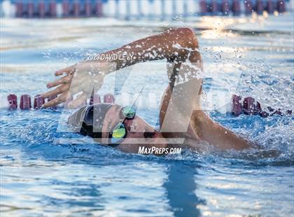 Thumbnail 1 in Chandler @ Basha photogallery.