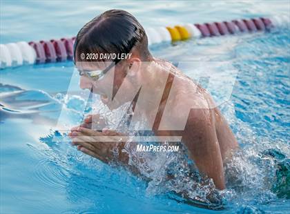 Thumbnail 3 in Chandler @ Basha photogallery.