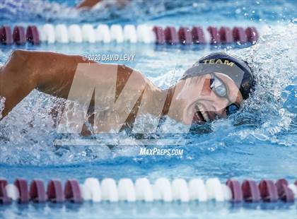 Thumbnail 1 in Chandler @ Basha photogallery.