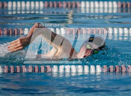 Thumbnail 1 in Chandler @ Basha photogallery.