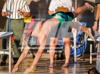 Thumbnail 3 in Chandler @ Basha photogallery.