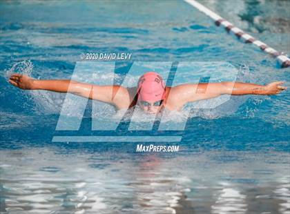 Thumbnail 3 in Chandler @ Basha photogallery.