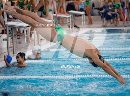 Thumbnail 3 in Chandler @ Basha photogallery.
