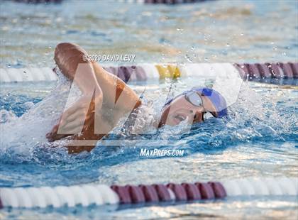 Thumbnail 2 in Chandler @ Basha photogallery.