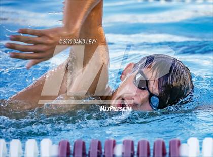 Thumbnail 2 in Chandler @ Basha photogallery.