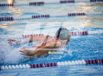 Thumbnail 1 in Chandler @ Basha photogallery.