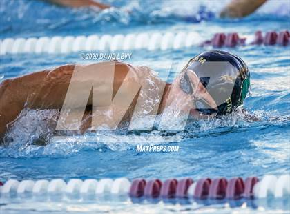 Thumbnail 1 in Chandler @ Basha photogallery.