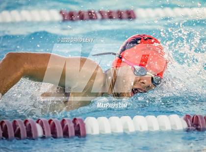 Thumbnail 2 in Chandler @ Basha photogallery.