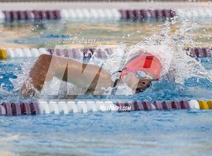 Thumbnail 2 in Chandler @ Basha photogallery.