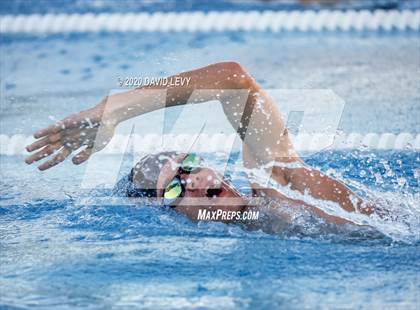 Thumbnail 2 in Chandler @ Basha photogallery.