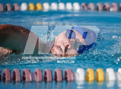 Thumbnail 3 in Chandler @ Basha photogallery.