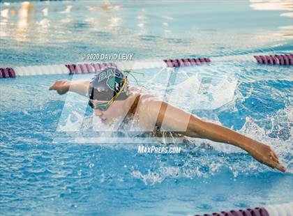 Thumbnail 3 in Chandler @ Basha photogallery.