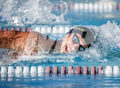 Thumbnail 2 in Chandler @ Basha photogallery.