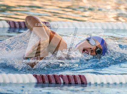 Thumbnail 2 in Chandler @ Basha photogallery.
