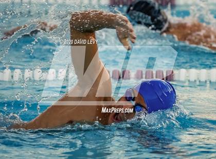 Thumbnail 2 in Chandler @ Basha photogallery.