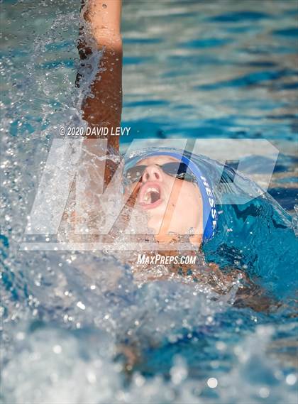 Thumbnail 2 in Chandler @ Basha photogallery.