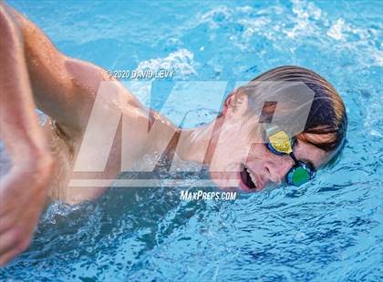 Thumbnail 3 in Chandler @ Basha photogallery.
